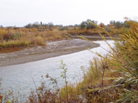 Gray Jay Press- California Trail ran beside the Humboldt River
